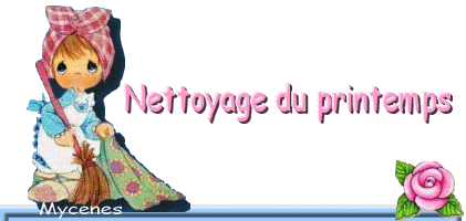 nettoyage