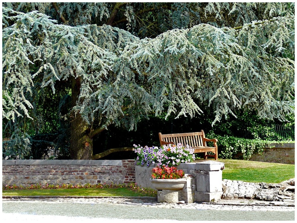banc à l'ombre banc à l'ombre
