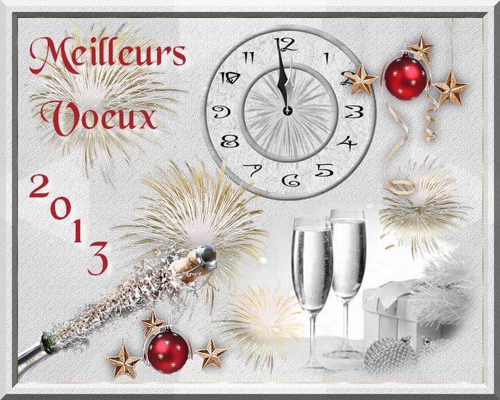Voeux 2013