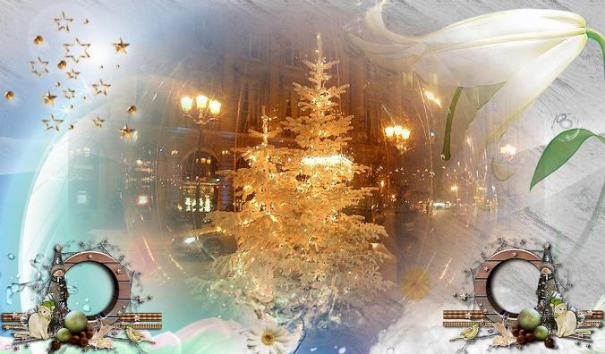 Le sapin trône dans la ville