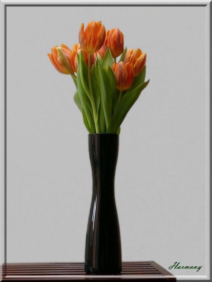 Vase Tulipes