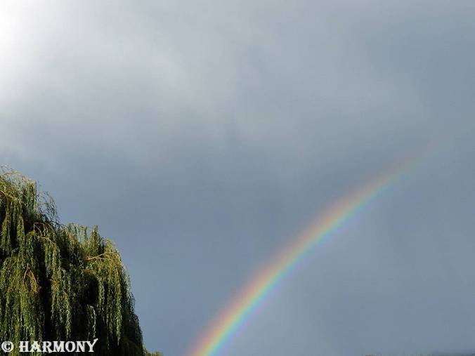Arc-en-ciel