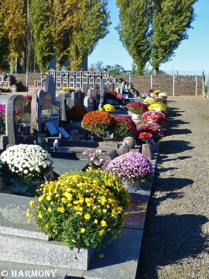 Jour des défunts 2