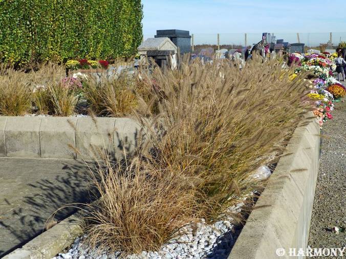 Jour des défunts 3.-