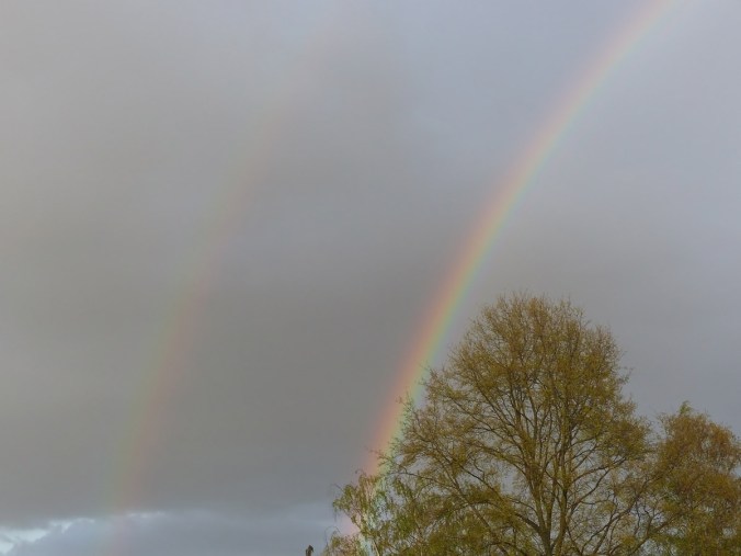 Arc-en-ciel 1