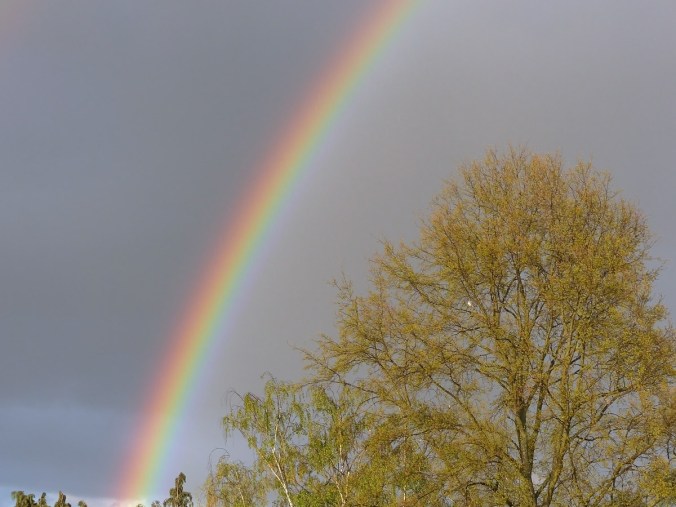 Arc-en-ciel 4