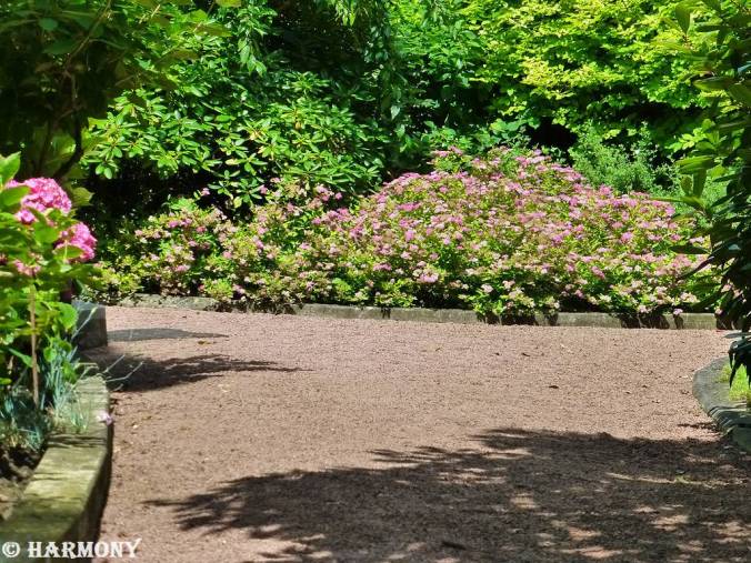 4.Suivons le sentier.