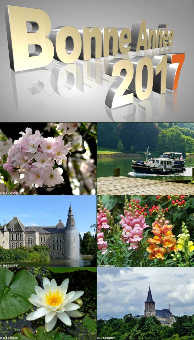 bonne-annee-2017